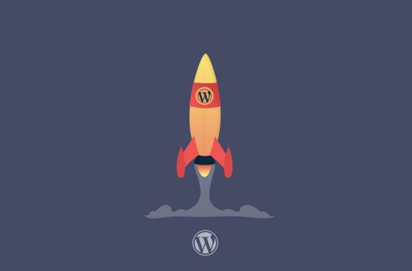 Optimizing Your WordPress Site